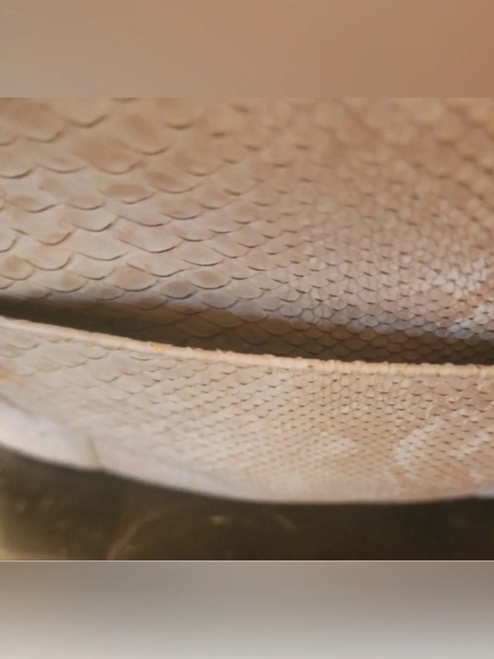 Anna Klein Cream Snake-Embossed Tote Bag